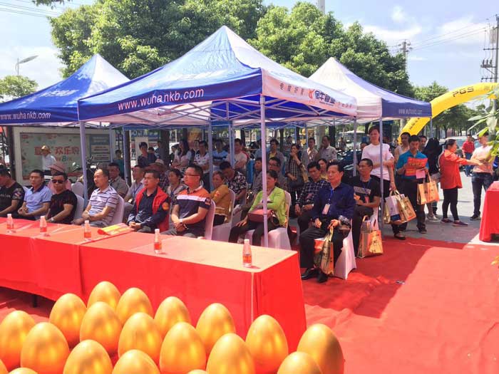 金艾陶瓷砖 瓷砖代理 陶瓷一线品牌