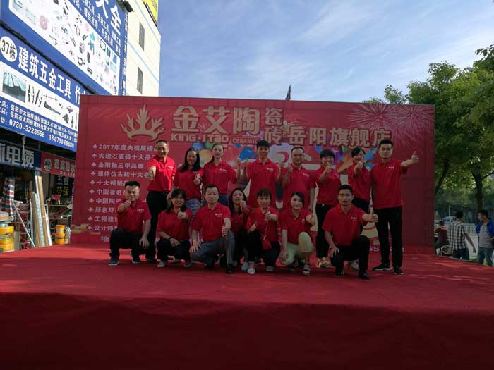 金艾陶瓷砖 瓷砖代理 陶瓷一线品牌