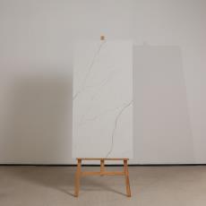 KCG635A001金缕东方白